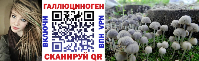 Псилоцибиновые грибы MAGIC MUSHROOMS магазин продажи Губкинский